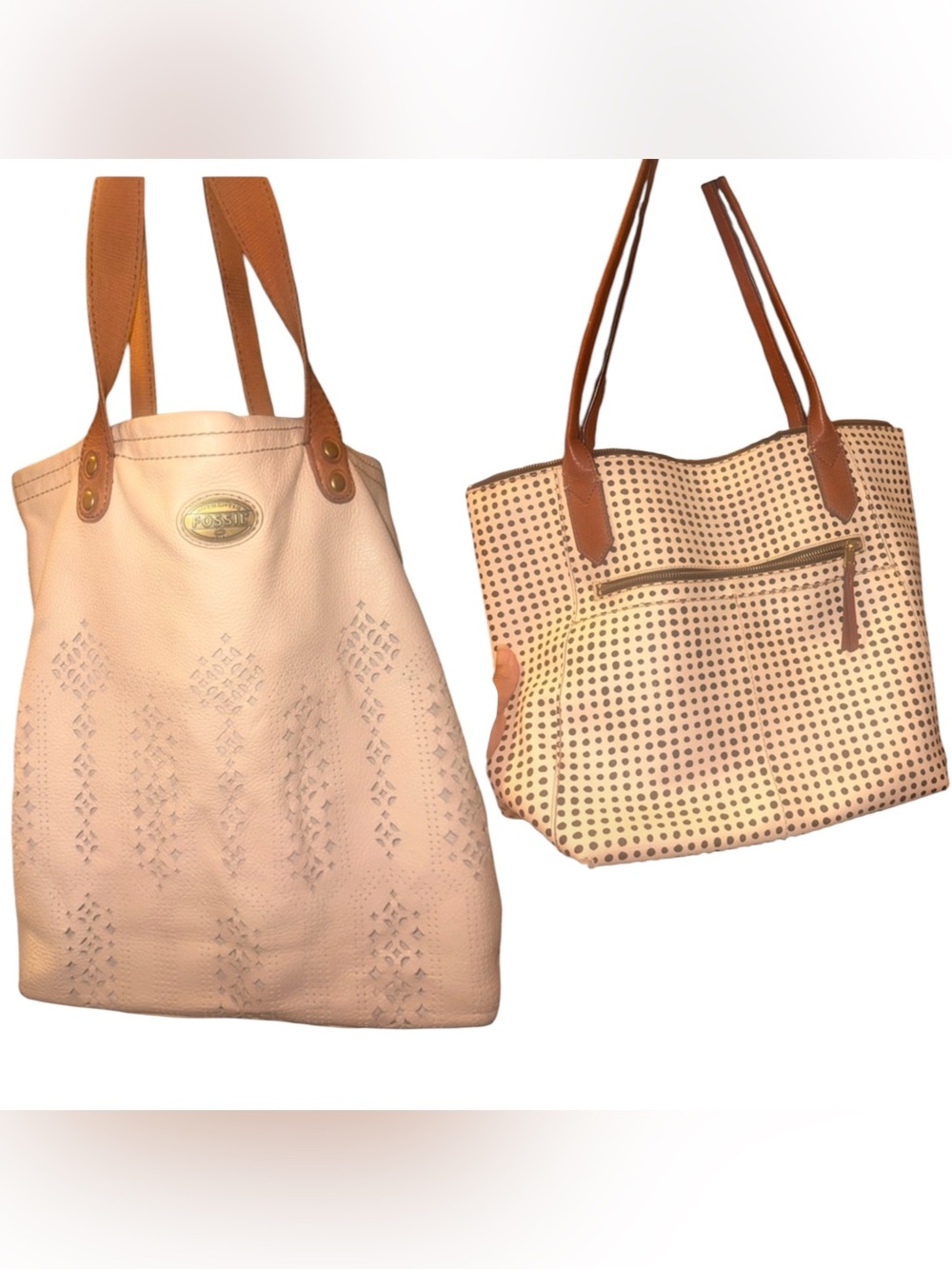 CLOSE OUT SALE 2 Bag Lot Fossil
